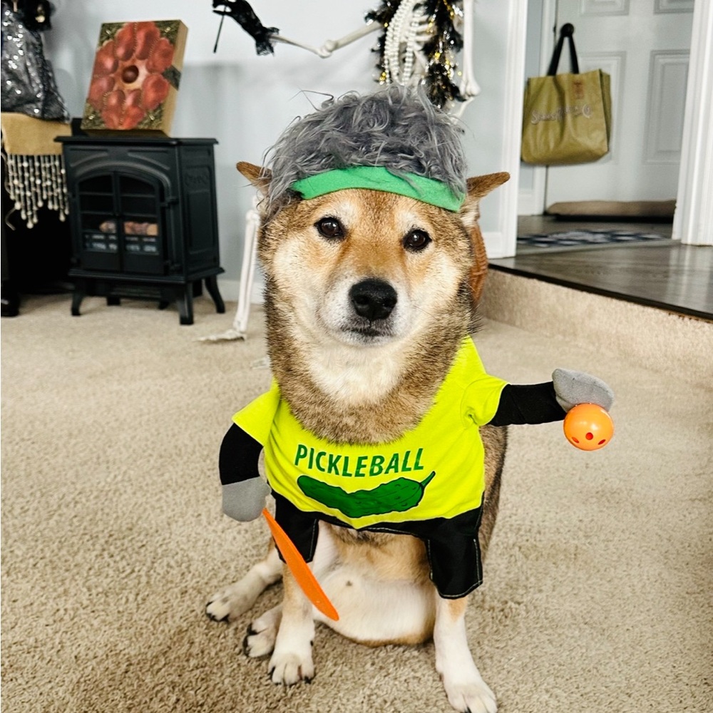 Hyde and Eek Dog Pet Pickleball Halloween Costume Size Medium